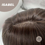 JBEXTENSION 22 Inches Dark Brown With Blonde Highlight Straight Wig ISABEL
