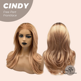 JBEXTENSION 20 Inches Strawberry Blonde Curly Pre-Cut 9X6 U Lace Free Part Frontlace Glueless Wig CINDY