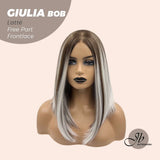 JBEXTENSION 14 Inches Bob Cut Mix Color With Highlight Free Part Pre-Cut Frontlace Glueless Wig GIULIA BOB LATTé (FREE PARTING)