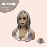 JBEXTENSION 20 Inches Grey Pre-Cut Free Part Frontlace Glueless Wig GEMMIE