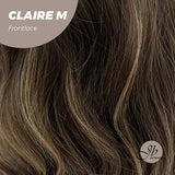Nichole's Selection - 22 Inches Body Wave Brown With Highlight Pre-Cut Frontlace Glueless Wig CLAIRE LACE M