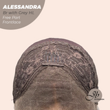 JBEXTENSION 20 Inches Brown with Grey Highlight Curly Fiber X, Tangle Less Pre-Cut Free Part Frontlae Glueless Wig ALESSANDRA GREY