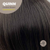 JBEXTENSION GENERATION FIVE 20 Inches Ombre Brown Body Wave Wig QUINN OMBRE BROWN G5