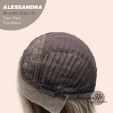 JBEXTENSION 20 Inches Brown with Grey Highlight Curly Fiber X, Tangle Less Pre-Cut Free Part Frontlae Glueless Wig ALESSANDRA GREY
