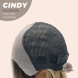JBEXTENSION 20 Inches Mix Blonde Curly Pre-Cut 9X6 U Lace Free Part Frontlace Glueless Wig CINDY MIX BLONDE
