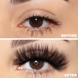 Cruelty Free High volume 3D Real Mink lashes SAN JOSE