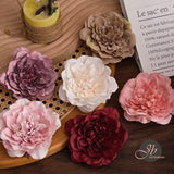 JBextension Hair Flower Clips Women Girls Boho Hair Barrettes Pink Accessories Floral Rose Bride Headpiece Spring Wedding Festival 1 Pcs