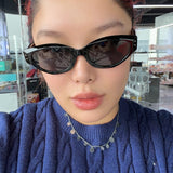 JBEXTENSION Sunglasses Womens Trendy Fashion Style Retro Vintage Shades Sunnies