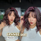 JBEXTENSION 14 Inches Scalpiana Wave Peacock 3.5X4 Hard Silky Top Natural Scalp Effect Wig with Bangs OSSIE SHORT - PEACOCK