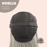 Nichole's Selection - 28 Inches Mix Grey With Dark Root Straight Lace Front Wig.Pre Plucked HD Transparent Lace Frontal Glueless Wig NOELIA