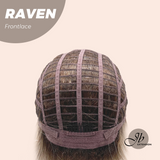 JBEXTENSION 12 Inches Ash Grey Pre-Cut Side Part Frontlace Glueless Black Sapphire Wig RAVEN- BLACK SAPPHIRE【BENDY EAR TABS】