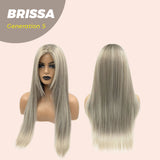 JBEXTENSION GENERATION FIVE 26 Inches Mix Grey Straight Wig BRISSA G5