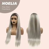 Nichole's Selection - 28 Inches Mix Grey With Dark Root Straight Lace Front Wig.Pre Plucked HD Transparent Lace Frontal Glueless Wig NOELIA