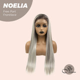 JBEXTENSION 28 Inches Mix Grey With Dark Root Straight Lace Front Wig.Pre Plucked HD Transparent Lace Frontal Glueless Wig NOELIA