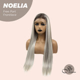 JBEXTENSION 28 Inches Mix Grey With Dark Root Straight Lace Front Wig.Pre Plucked HD Transparent Lace Frontal Glueless Wig NOELIA