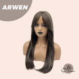 JBEXTENSION 24 Inches Dark Brown with Grey Highlight Wig ARWEN
