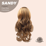 [PRE-ORDER] JBEXTENSION 24 Inches Copper Curly 13X6 Lace Free Part Frontlace Glueless Wig SANDY COPPER