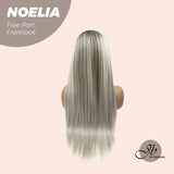 Nichole's Selection - 28 Inches Mix Grey With Dark Root Straight Lace Front Wig.Pre Plucked HD Transparent Lace Frontal Glueless Wig NOELIA