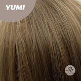 JBEXTENSION 30 Inches Long Light Brown With Highlight Wig With Bangs YUMI