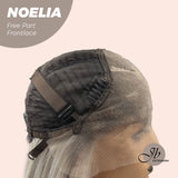 Nichole's Selection - 28 Inches Mix Grey With Dark Root Straight Lace Front Wig.Pre Plucked HD Transparent Lace Frontal Glueless Wig NOELIA