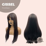 JBEXTENSION 24 Inches Soft Black Straight Pre-Cut Frontlace Glueless Wig GISSEL