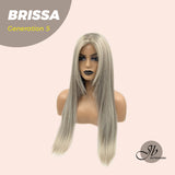 JBEXTENSION GENERATION FIVE 26 Inches Mix Grey Straight Wig BRISSA G5