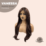 JBEXTENSION 26 Inches Curly Reddish Brown Pre-Cut Frontlace Wig VANESSA REDDISH BROWN