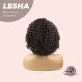 JBEXTENSION 12 Inches Deep Curly Brown Side Part Mini T Part Frontlace Glueless Wig LESHA