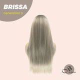 JBEXTENSION GENERATION FIVE 26 Inches Mix Grey Straight Wig BRISSA G5