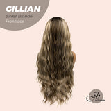 JBEXTENSION 30 Inches Long Body Wave Mix Silver Blonde Frontlace Glueless Wig GILLIAN SILVER BLONDE