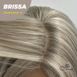 JBEXTENSION GENERATION FIVE 26 Inches Mix Grey Straight Wig BRISSA G5