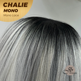 JBEXTENSION CHALIE MONO Full Monofilament Handmade Full Lace Full Hand Tied Wig 22 Inches Grey With Dark Root Mono Lace Handmade Futura Fiber Wig Glueless Wig CHALIE MONO